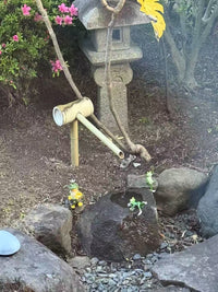 Thumbnail for Creative Frog Ornaments Solar Outdoor Lights