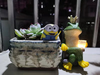 Thumbnail for Creative Frog Ornaments Solar Outdoor Lights
