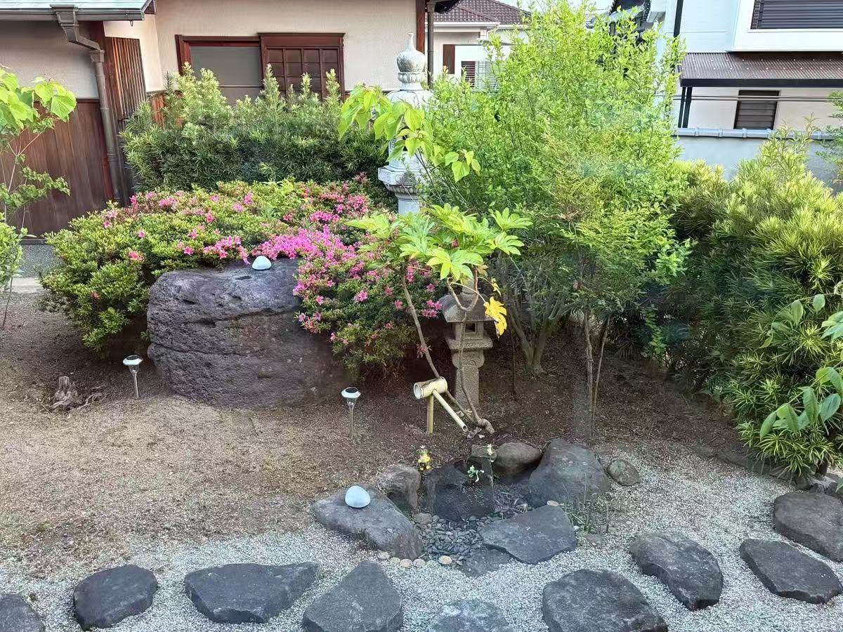 Creative Frog Ornaments Solar Outdoor Lights