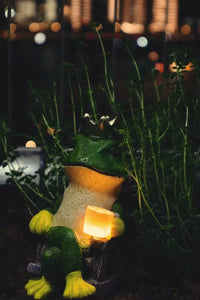 Thumbnail for Creative Frog Ornaments Solar Outdoor Lights