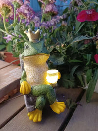 Thumbnail for Creative Frog Ornaments Solar Outdoor Lights