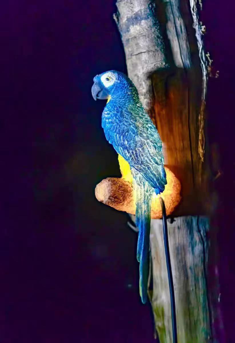 LED Solar Lighting Small Animal Light
