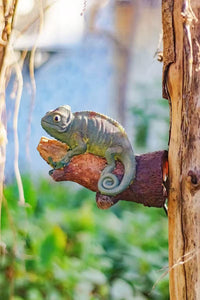 Thumbnail for LED Solar Lighting Small Animal Light
