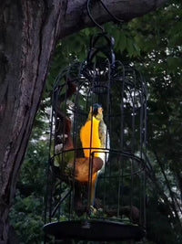 Thumbnail for LED Solar Lighting Small Animal Light
