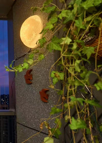 Thumbnail for Outdoor Moon Wall Lamp
