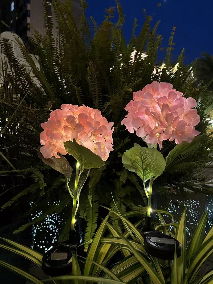 Solar Outdoor Garden Lights