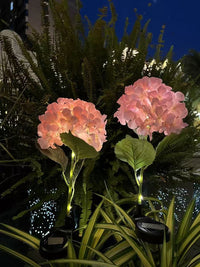 Thumbnail for Solar Outdoor Garden Lights