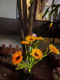 Thumbnail for Solar Outdoor Garden Lights