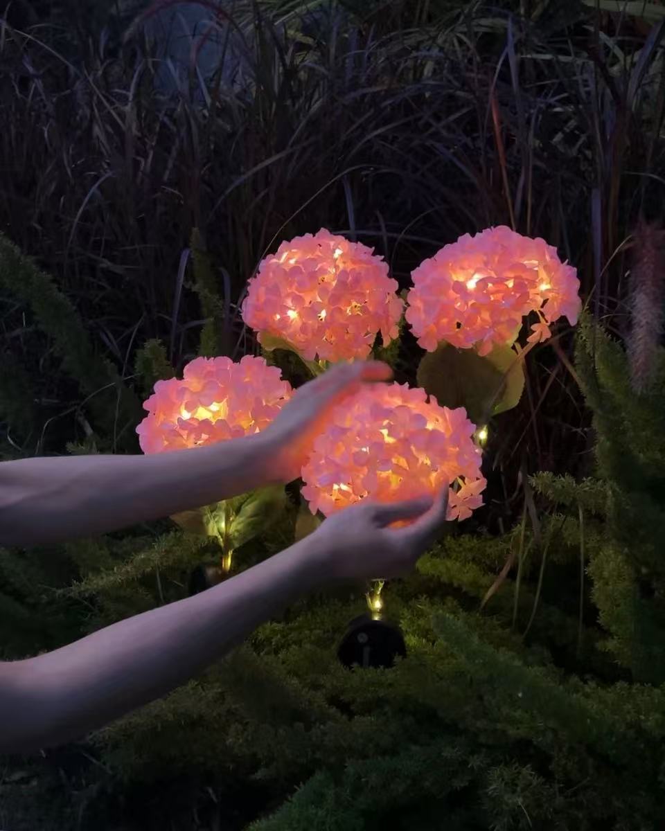 Solar Outdoor Garden Lights