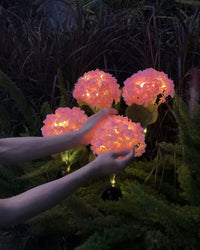 Thumbnail for Solar Outdoor Garden Lights