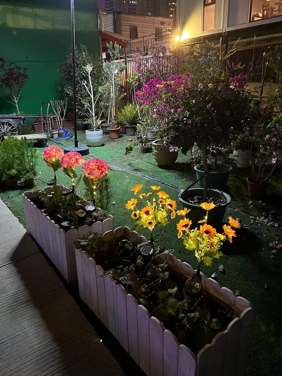 Solar Outdoor Garden Lights