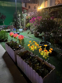 Thumbnail for Solar Outdoor Garden Lights