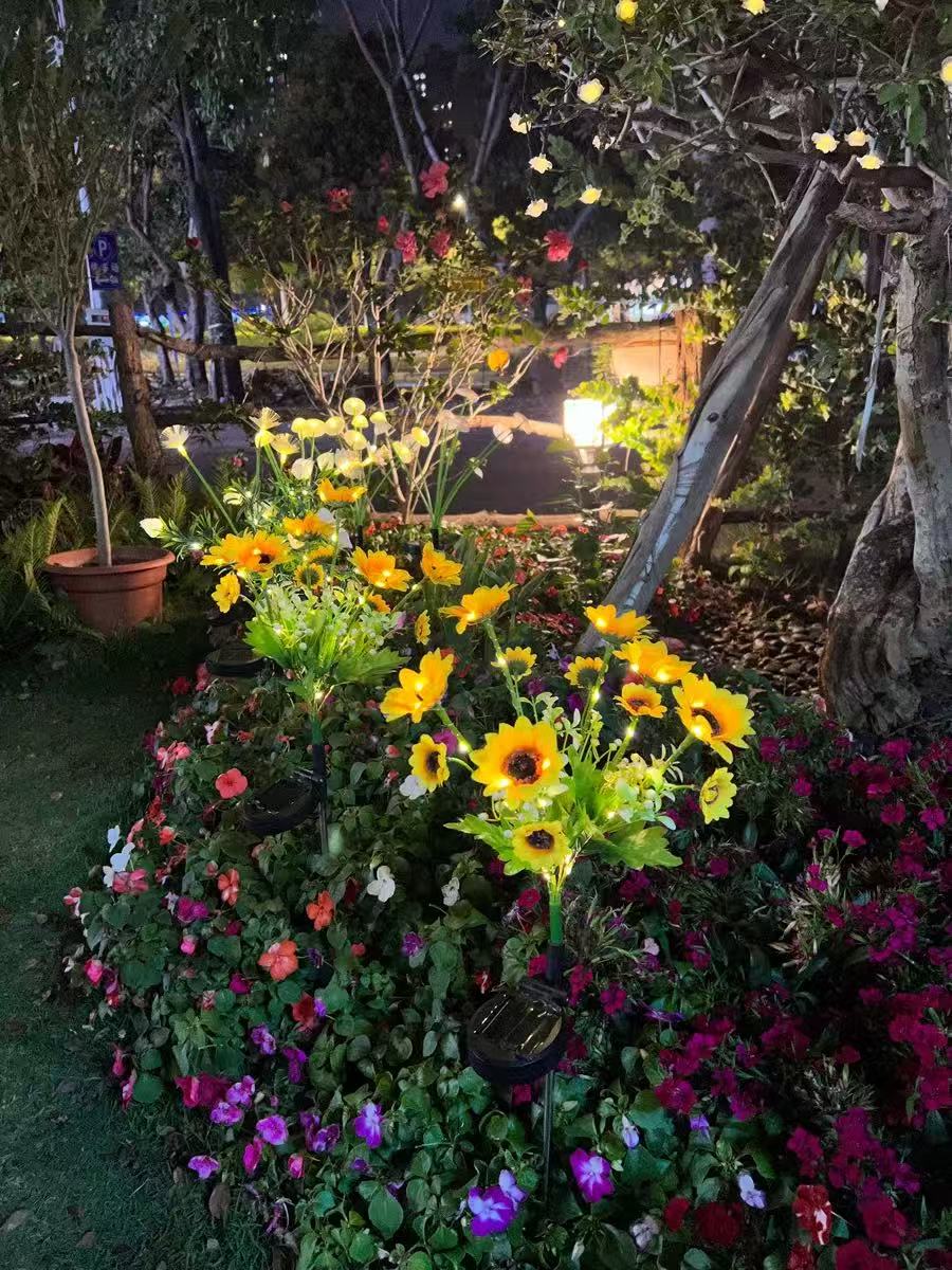Solar Outdoor Garden Lights