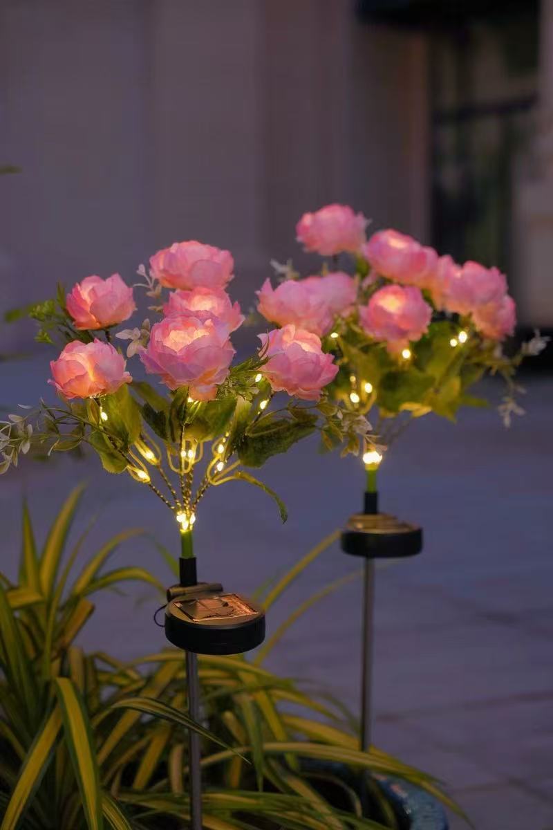 Solar Outdoor Garden Lights