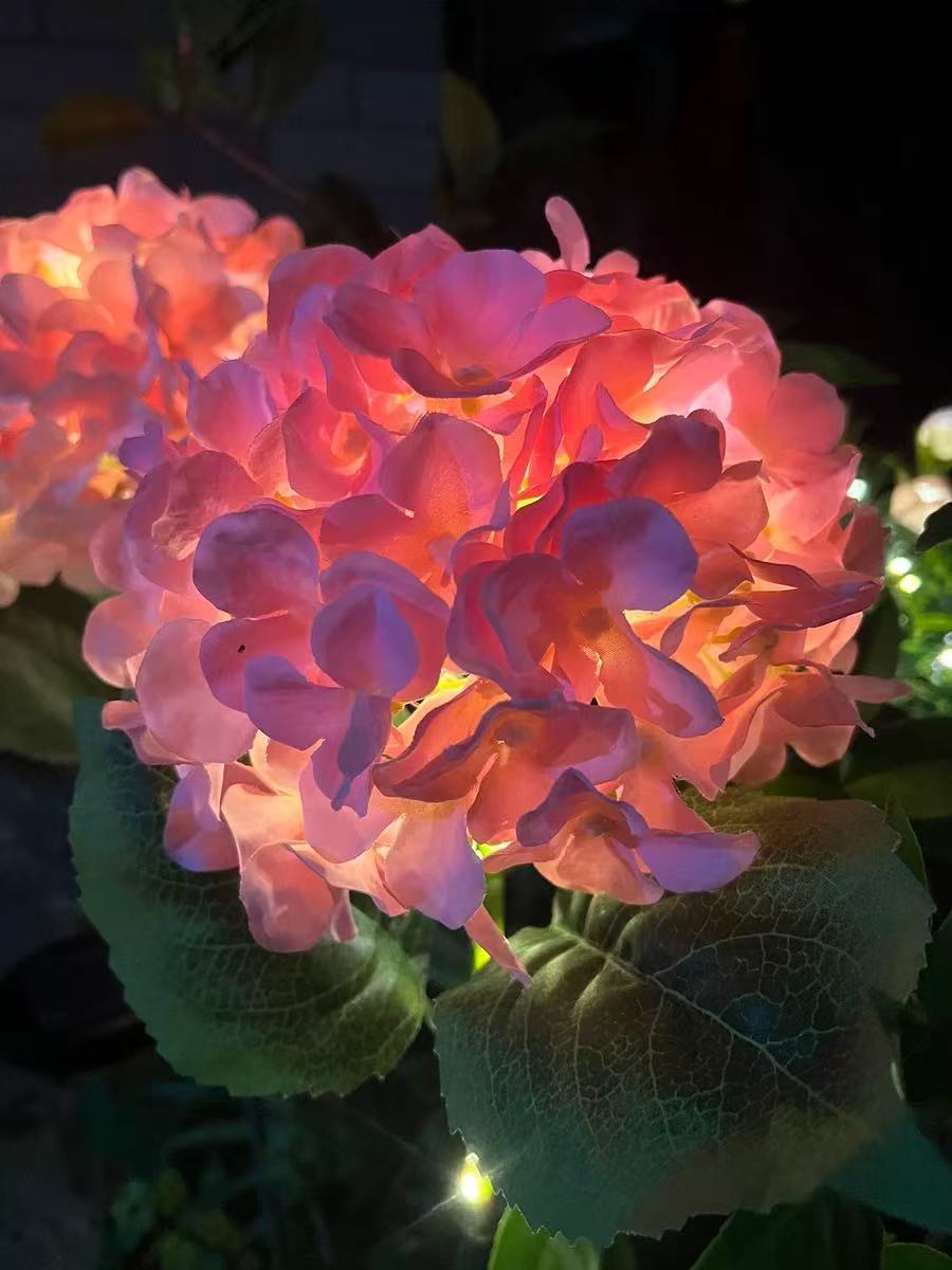 Solar Outdoor Garden Lights