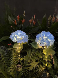 Thumbnail for Solar Outdoor Garden Lights
