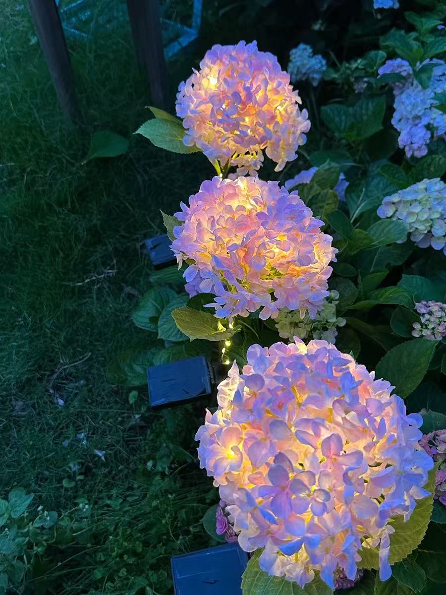 Solar Outdoor Garden Lights