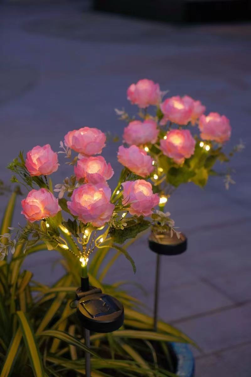 Solar Outdoor Garden Lights