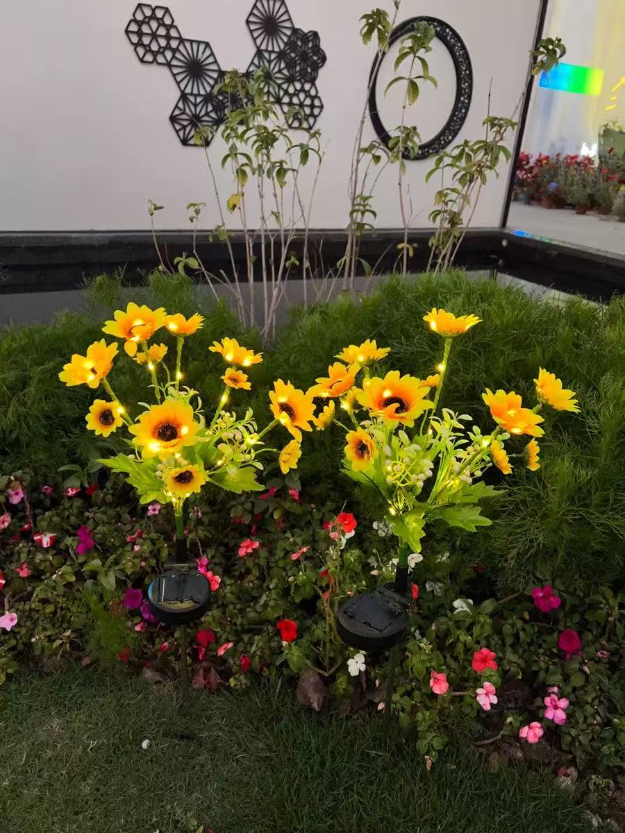 Solar Outdoor Garden Lights