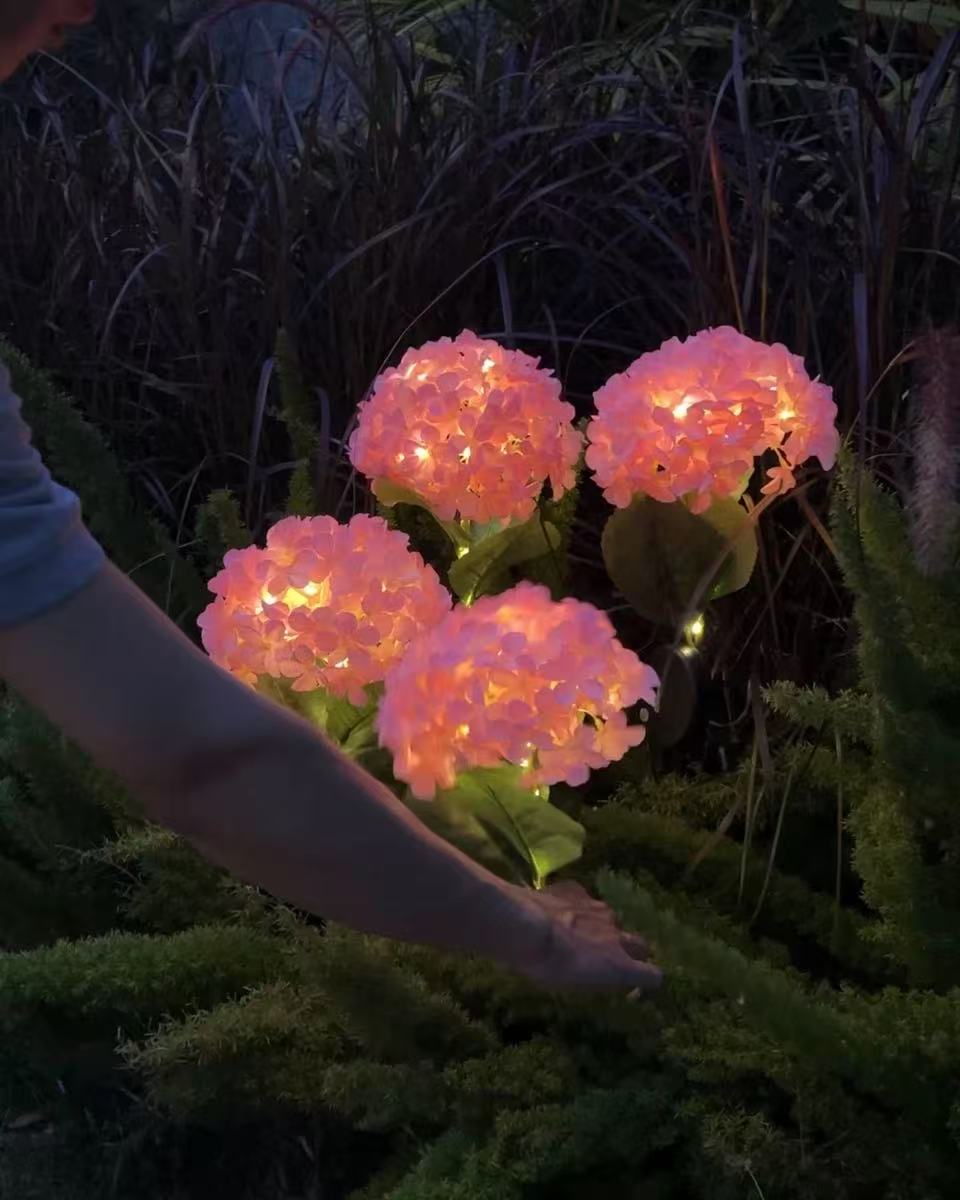 Solar Outdoor Garden Lights