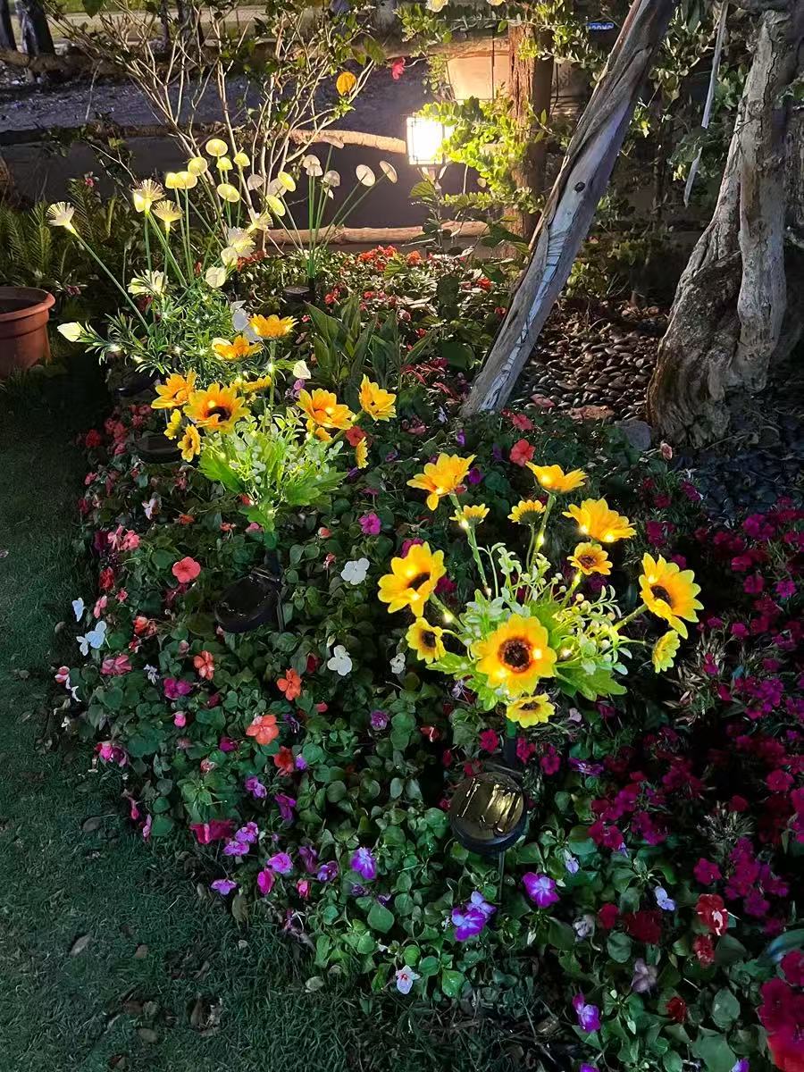 Solar Outdoor Garden Lights