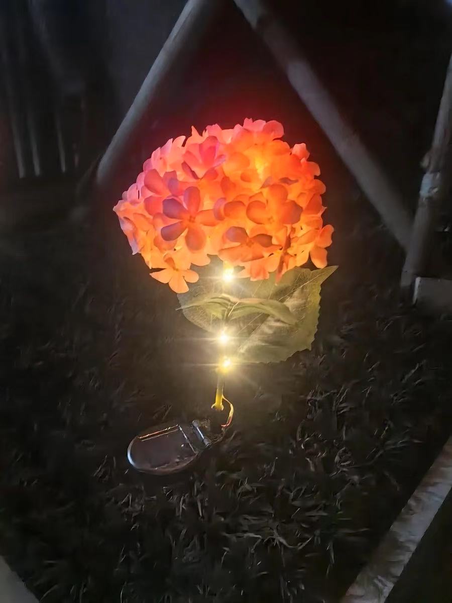 Solar Outdoor Garden Lights