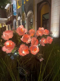 Thumbnail for Solar Outdoor Garden Lights