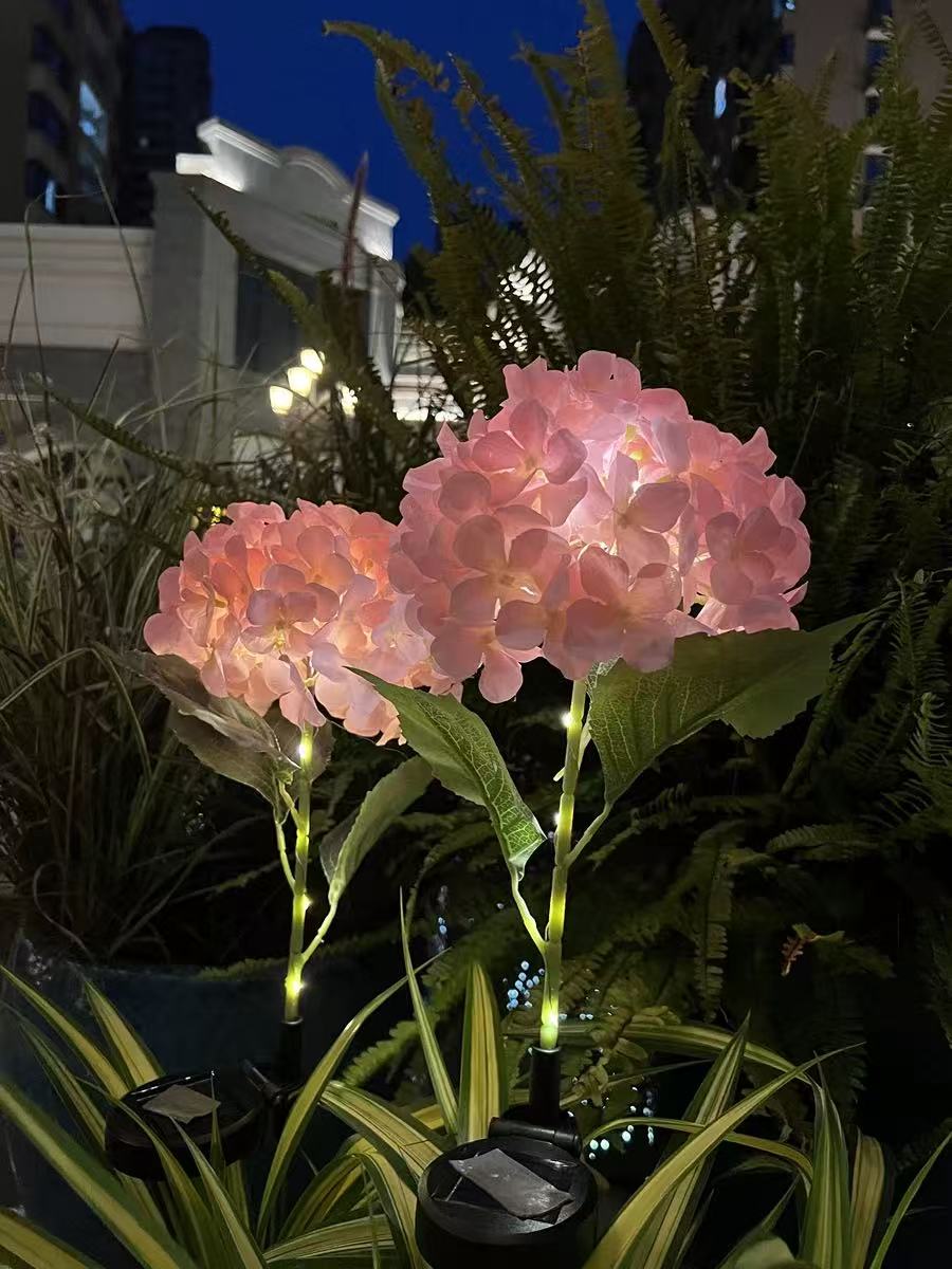 Solar Outdoor Garden Lights