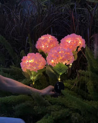 Thumbnail for Solar Outdoor Garden Lights