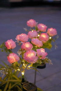 Thumbnail for Solar Outdoor Garden Lights