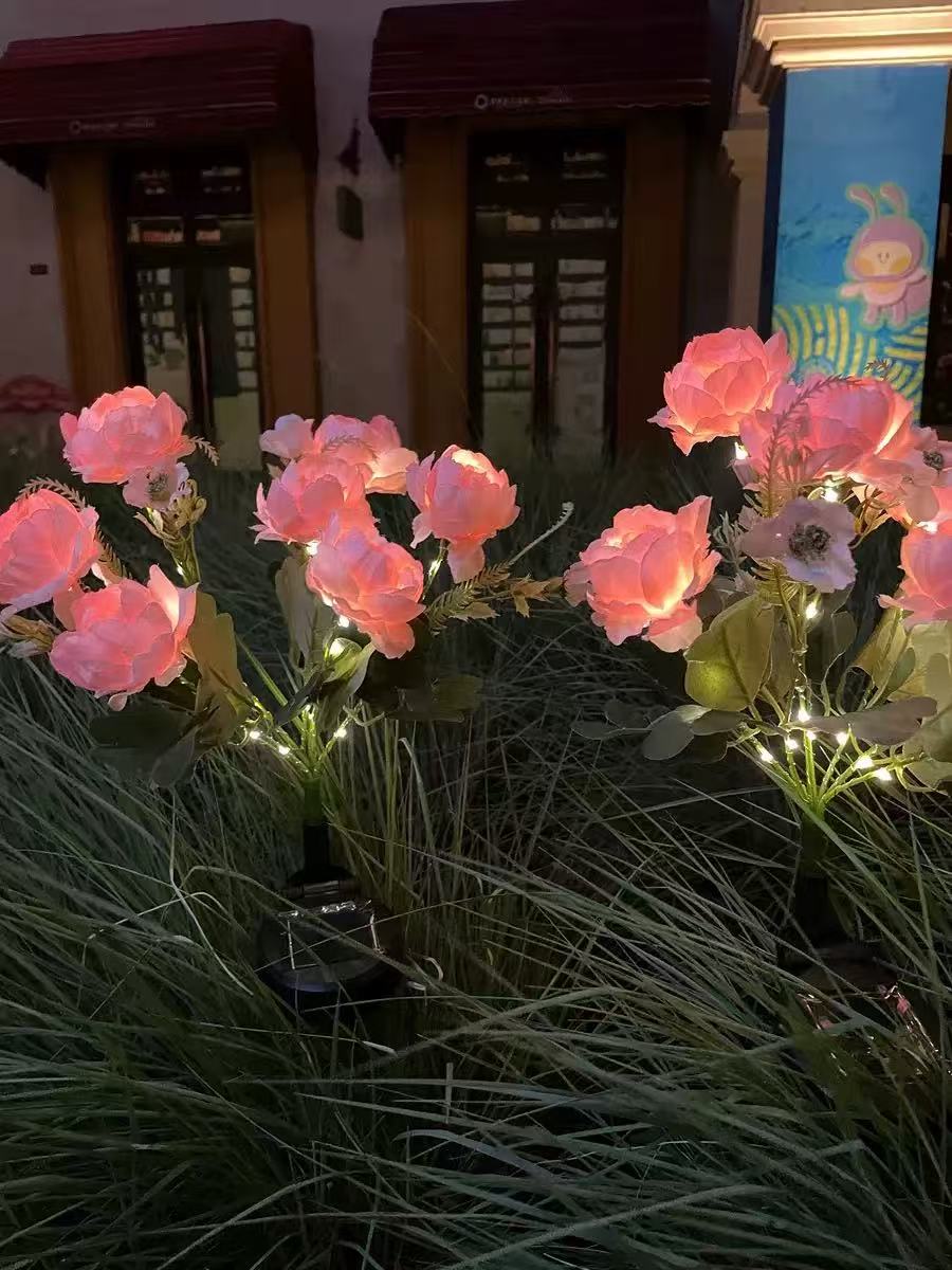 Solar Outdoor Garden Lights