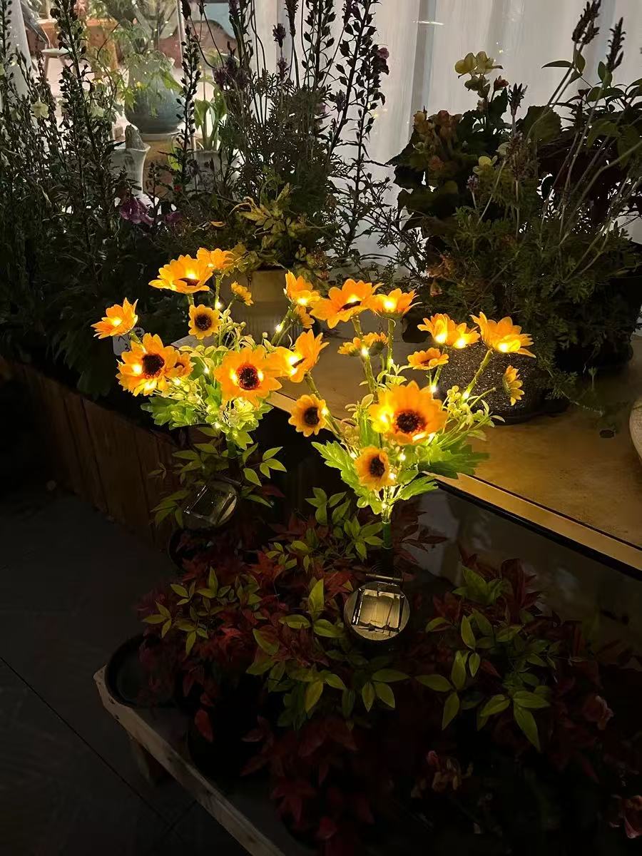 Solar Outdoor Garden Lights