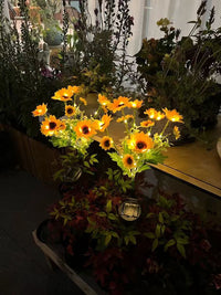 Thumbnail for Solar Outdoor Garden Lights
