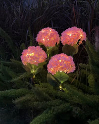 Thumbnail for Solar Outdoor Garden Lights