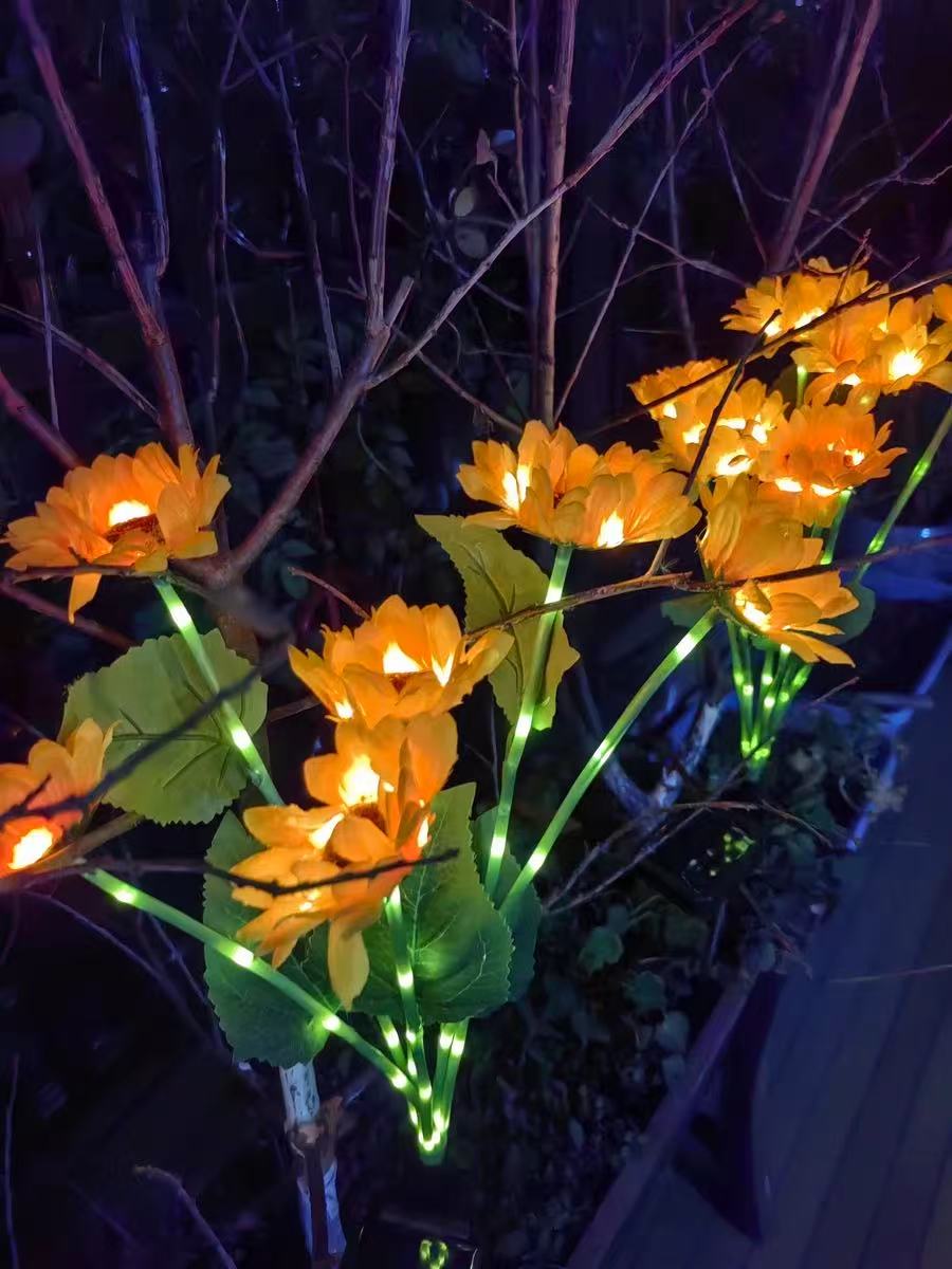 Solar Outdoor Garden Lights