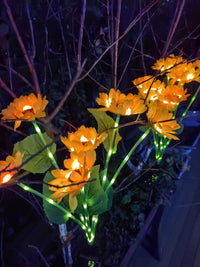 Thumbnail for Solar Outdoor Garden Lights