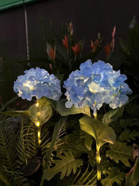 Thumbnail for Solar Outdoor Garden Lights
