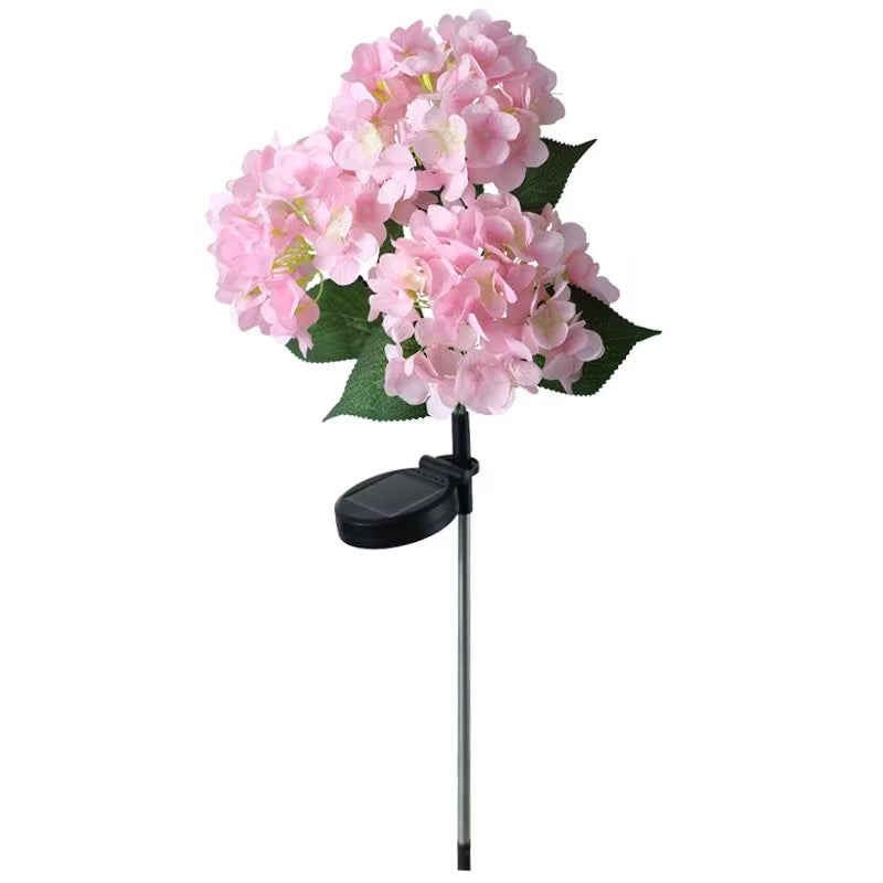 Solar Outdoor Garden Lights