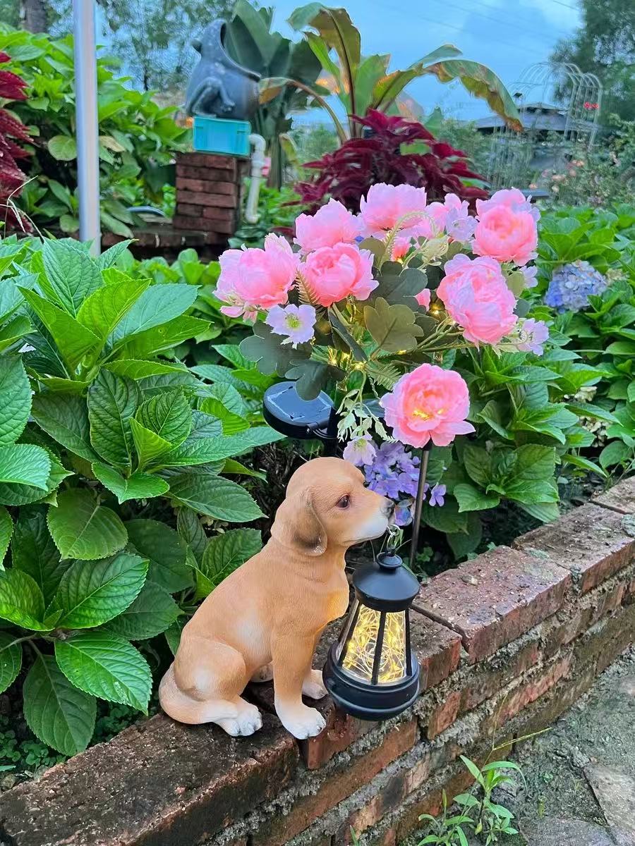 Solar Outdoor Garden Lights