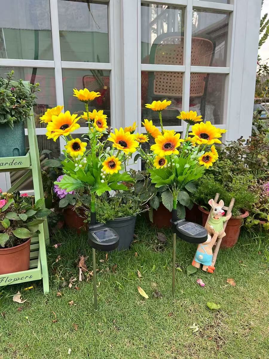 Solar Outdoor Garden Lights