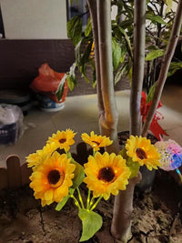 Thumbnail for Solar Outdoor Garden Lights