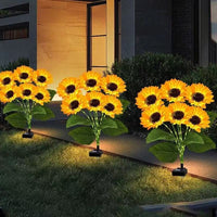 Thumbnail for Solar Outdoor Garden Lights