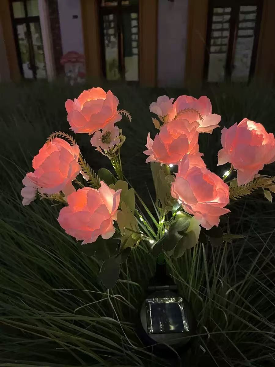 Solar Outdoor Garden Lights