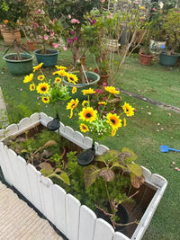 Thumbnail for Solar Outdoor Garden Lights