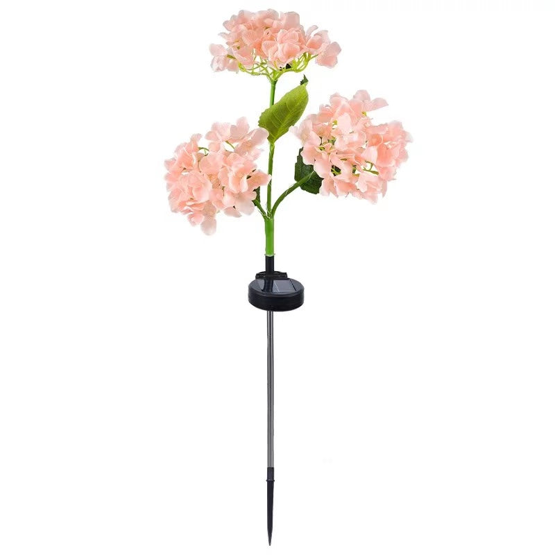 Solar Outdoor Garden Lights