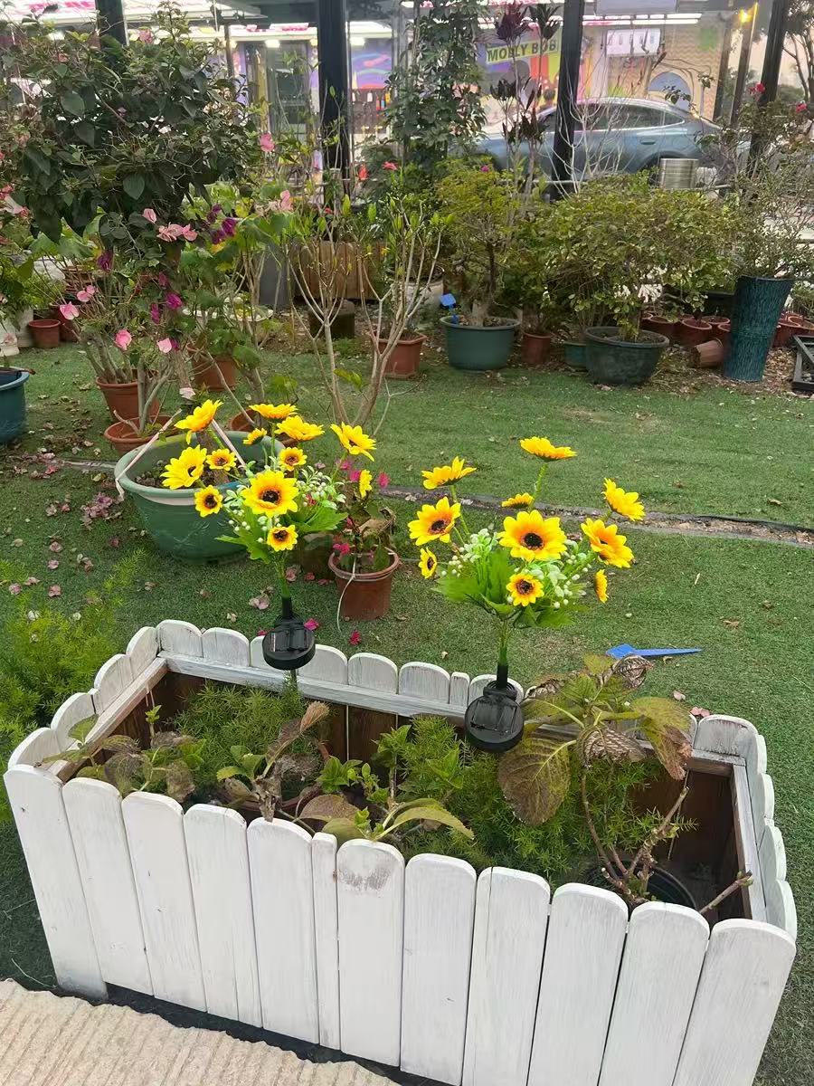 Solar Outdoor Garden Lights