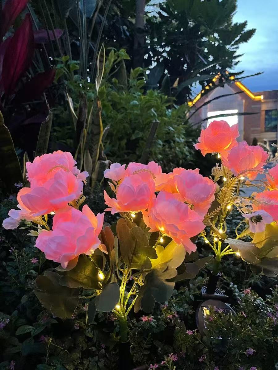 Solar Outdoor Garden Lights