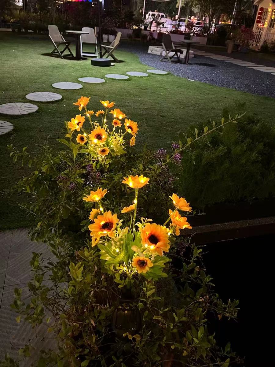 Solar Outdoor Garden Lights