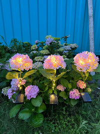 Thumbnail for Solar Outdoor Garden Lights
