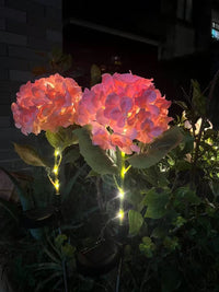 Thumbnail for Solar Outdoor Garden Lights